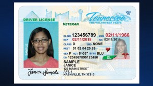 Reinstate Suspended Tennesee Drivers License